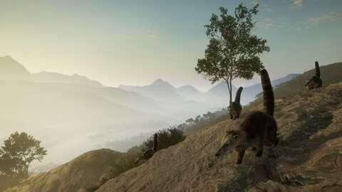 11486-thehunter-call-of-the-wild-peru-hunting-reserve-gallery-5_1