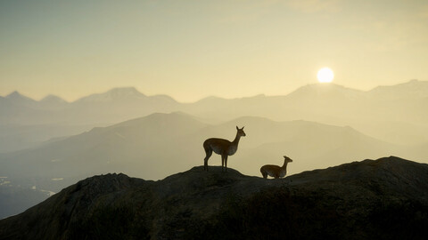 11486-thehunter-call-of-the-wild-peru-hunting-reserve-gallery-9_1