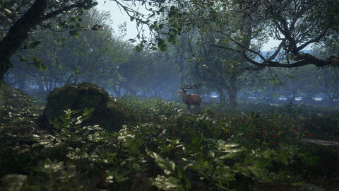 11487-thehunter-call-of-the-wild-scotland-hunting-reserve-gallery-2_1
