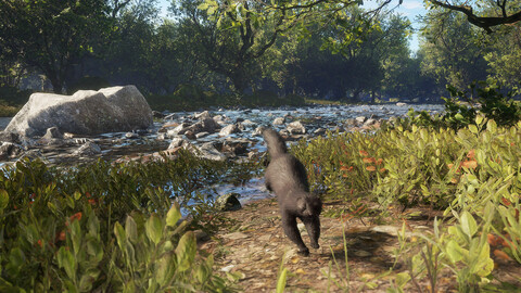 11487-thehunter-call-of-the-wild-scotland-hunting-reserve-gallery-4_1
