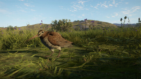 11487-thehunter-call-of-the-wild-scotland-hunting-reserve-gallery-5_1