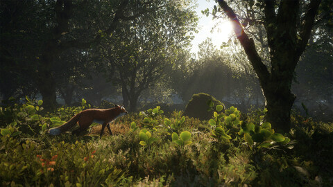 11487-thehunter-call-of-the-wild-scotland-hunting-reserve-gallery-7_1