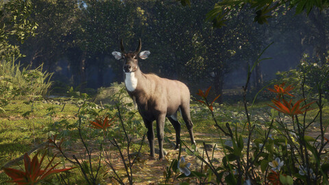 11491-thehunter-call-of-the-wild-sundarpatan-hunting-reserve-gallery-11_1