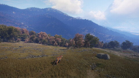 11491-thehunter-call-of-the-wild-sundarpatan-hunting-reserve-gallery-3_1
