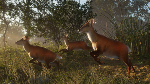 11491-thehunter-call-of-the-wild-sundarpatan-hunting-reserve-gallery-9_1