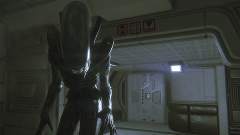 2377-alien-isolation-collection-gallery-3_1