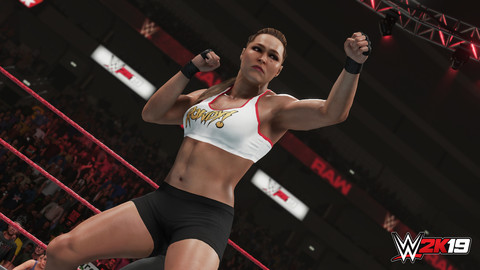 3424-wwe-2k19-deluxe-edition-gallery-0_1