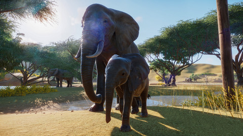 4939-planet-zoo-steam-5