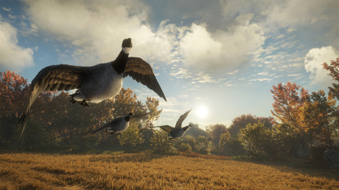 6903-thehunter-call-of-the-wild-wild-goose-chase-gear-gallery-0_1