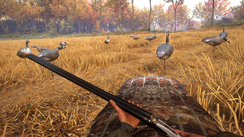 6903-thehunter-call-of-the-wild-wild-goose-chase-gear-gallery-3_1