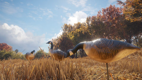 6903-thehunter-call-of-the-wild-wild-goose-chase-gear-gallery-4_1