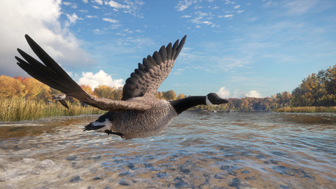 6903-thehunter-call-of-the-wild-wild-goose-chase-gear-gallery-5_1