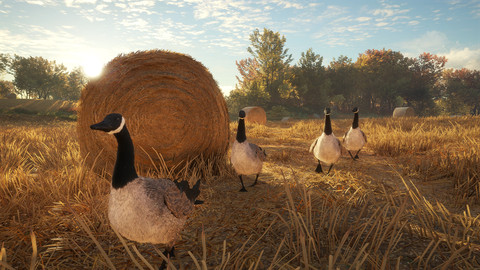 6903-thehunter-call-of-the-wild-wild-goose-chase-gear-gallery-8_1