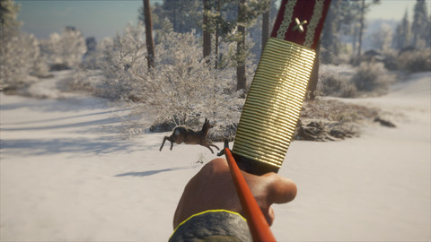 6906-thehunter-call-of-the-wild-weapon-pack-1-gallery-1_1