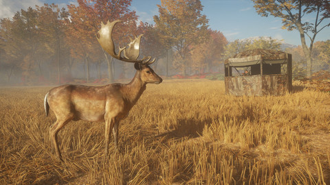 6910-thehunter-call-of-the-wild-tents-ground-blinds-gallery-0_1