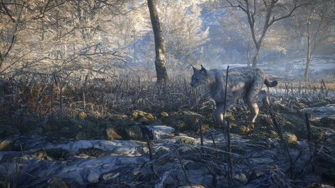 6915-thehunter-call-of-the-wild-medved-taiga-gallery-4_1