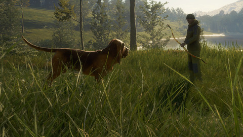 6919-thehunter-call-of-the-wild-bloodhound-gallery-2_1