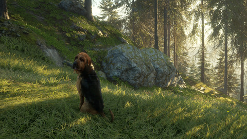 6919-thehunter-call-of-the-wild-bloodhound-gallery-4_1