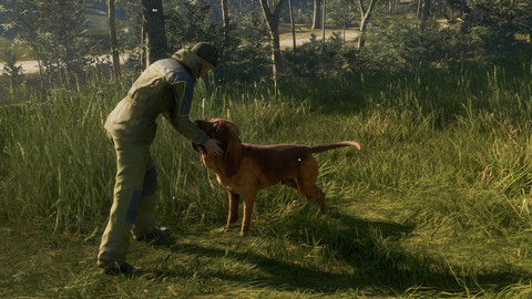 6919-thehunter-call-of-the-wild-bloodhound-gallery-5_1