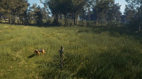 6919-thehunter-call-of-the-wild-bloodhound-gallery-6_1