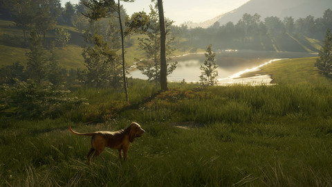 6919-thehunter-call-of-the-wild-bloodhound-gallery-8_1