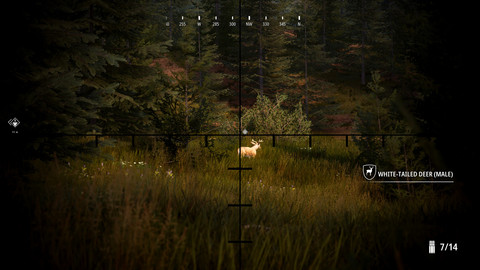 6985-hunting-simulator-2-bear-hunter-edition-gallery-5_1