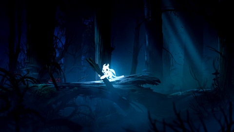 8081-ori-and-the-blind-forest-definitive-edition-1