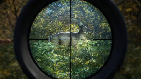 8475-thehunter-call-of-the-wild-2019-edition-0