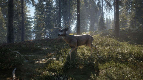8475-thehunter-call-of-the-wild-2019-edition-19