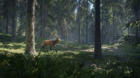 8475-thehunter-call-of-the-wild-2019-edition-5