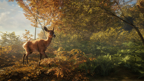 8475-thehunter-call-of-the-wild-2019-edition-7